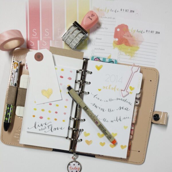 10616515_271836593027062_521191696_n