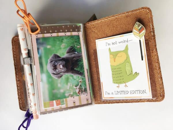 Processed with Snapseed.