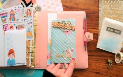 PASSPORT DAISY DORI COVER. Pictures and process video.