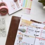 February Planner kit Tips and Tricks