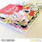 Tips and Tricks with Kylie plus video!