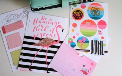 5 ways to customise Cocoa Daisy dashboards. Video included.