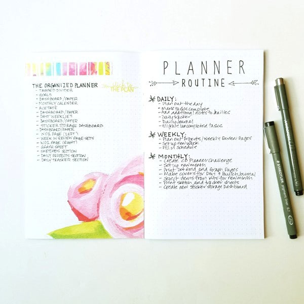 Janet Perafan-Babar | Cocoa Daisy June 2017 Planner Routine