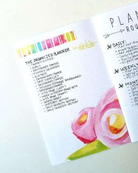 Janet Perafan-Babar | Cocoa Daisy June 2017 Planner Routine