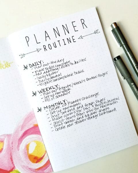 Janet Perafan-Babar | Cocoa Daisy June 2017 Planner Routine