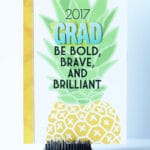 JUNE TIPS (VIDEO) | THINK OUT OF THE BOX {OR PLANNER!}