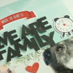 Product Focus | July Summer Fields