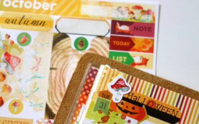Daily Planning in a Daisy Dori. Functional and pretty?
