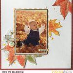 September’s Product Focus: The Gorgeous Papers