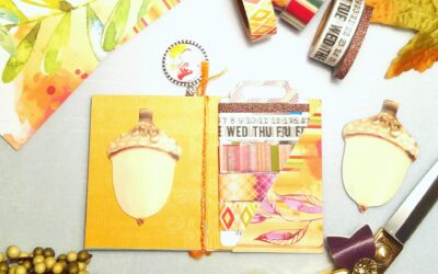 Washi and Go!!