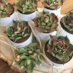 Behind the Scenes with arleigh | November edition