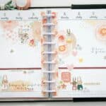 Planning in my Happy Planner!