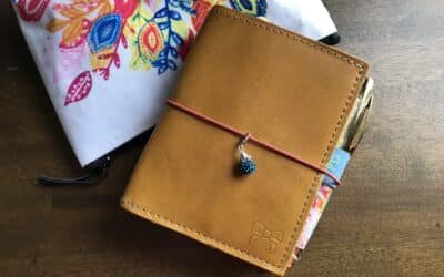 Using the mini Daisy Dori in your pocket ring planner