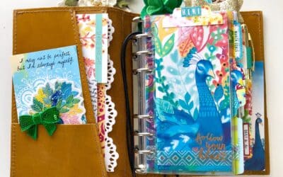 New Daisy Intro and Quick Tips for Instant Pizazz