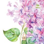 Behind the Scenes with arleigh | April 2018 edition