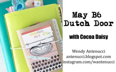 May B6 Dutch Door Insert