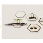 Inspiration with Celine/Video included