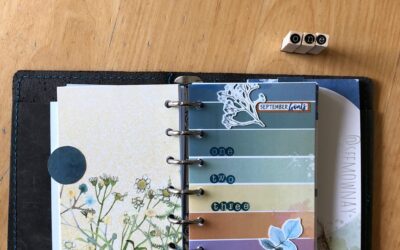 Setting up my pocket ring planner with Cocoa Daisy