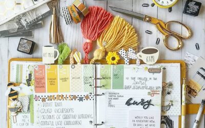dutch door in ring planner: changing things up