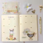 August Bullet Journal Set-up