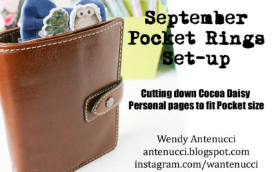 Planning in Pocket Rings with Cocoa Daisy