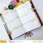 Stamping in the Daisy Dori
