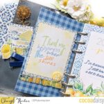 Lemon Grove Plan with Me – Dashboards & Video