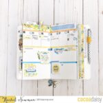 June Setup and Plan with Me!