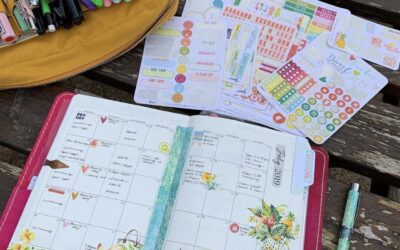 July Guest Designer; Daksina