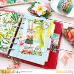 Pocket Card Dividers