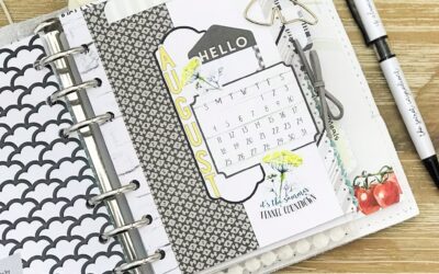 August Not really a Planner Planner Flip Through