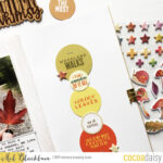 Circle and Hexagon Love