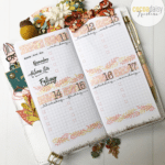 Plan with Me (video)