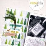 The Nordic Woods Trees