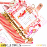 Using Pocket Cards in Your Planner