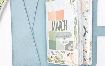March Setup and First Week with Daisy Weeks Booklet