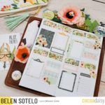 Plan With Me – “Orchard Path” in my PP Weeks