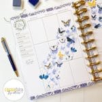 For the Love of Butterflies