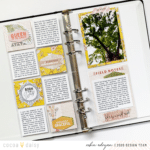 Field Notes with Serengeti