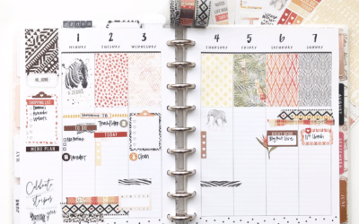 Plan As I Go with Serengeti Kit