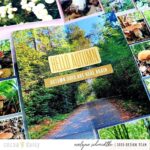 Documenting the Cool Crisp Colors of Autumn Starts Now!