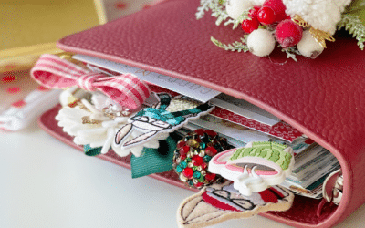 Cranberry Rose Set Up & Video