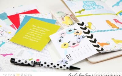 Using Pocket Cards In My Planner + Video