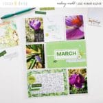 Documenting Last Month