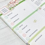 Completed March Dori – A Look Back