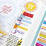 Journaling with the Spice Market Collection