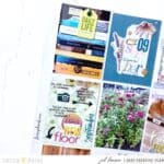 Creative Captions with the Daisy Fields Collection