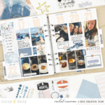 Memory Planning Catchup with Nordic Skies