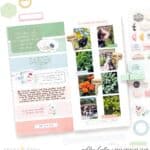 Scrap Small Saturday: Lillian’s Garden Kits