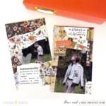 Creating Contrast with Quiet Meadow Kits